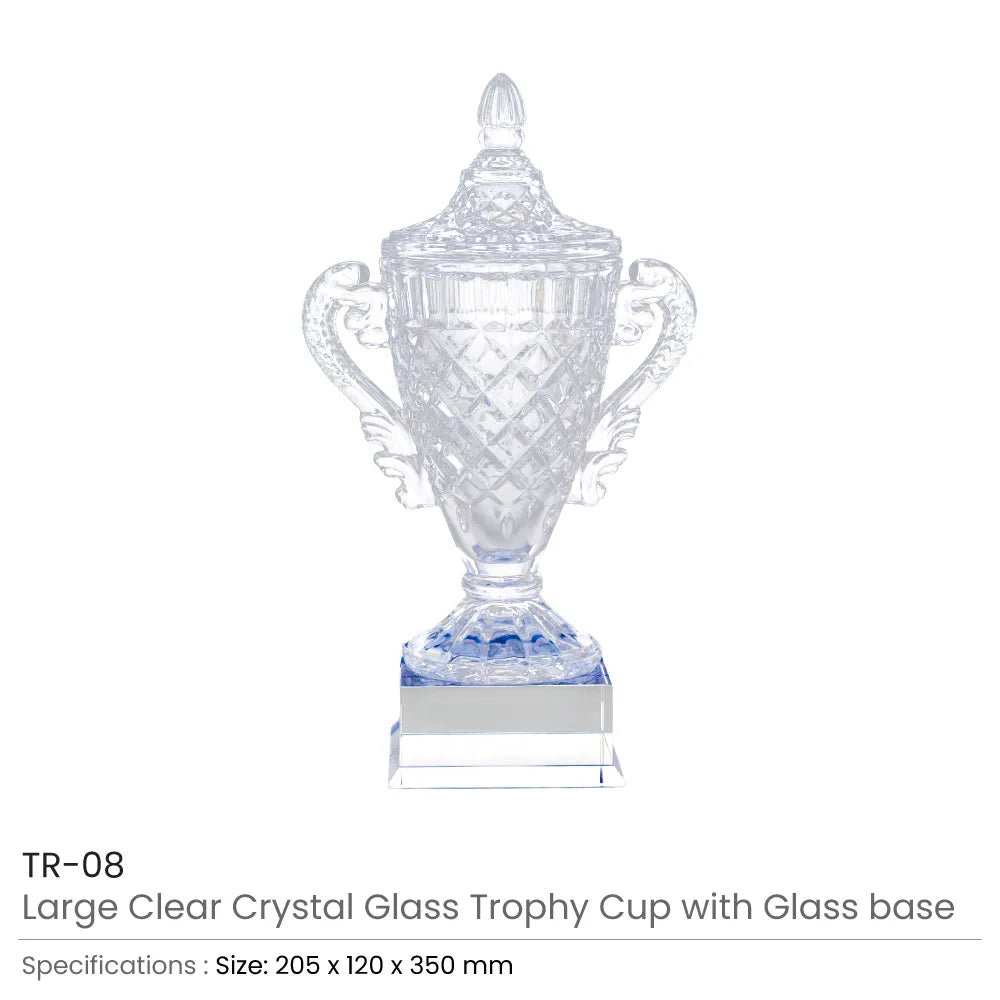 Large Crystal Glass Trophy Cup with Chocolate Gift Edition