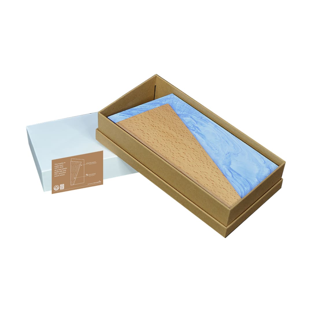 Recycled Award - Ocean Swirl