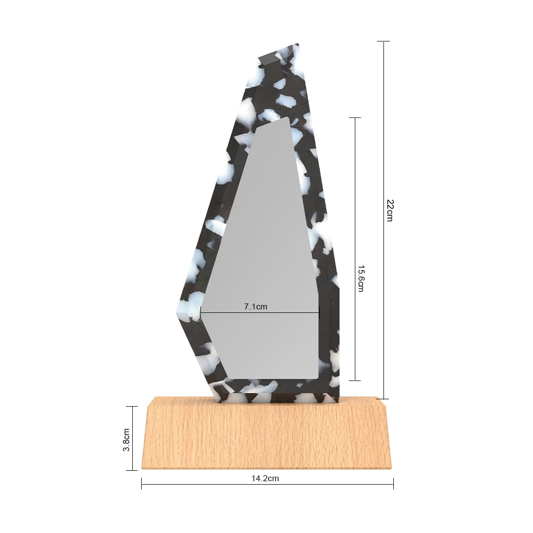 Eco-neutral® Waste-to-Wins® FSC Beech Recycled Plastic Award